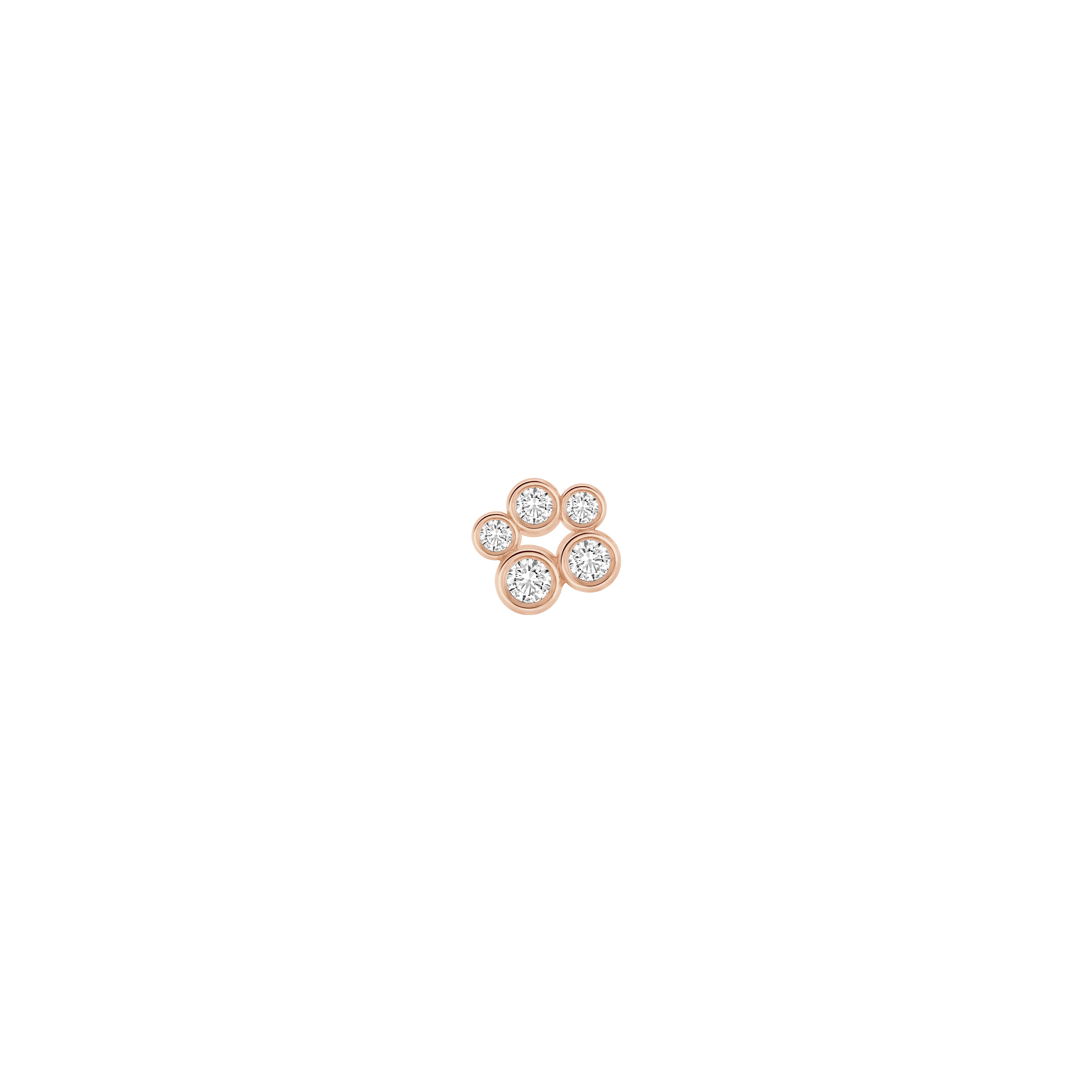 Daisy - Image 3