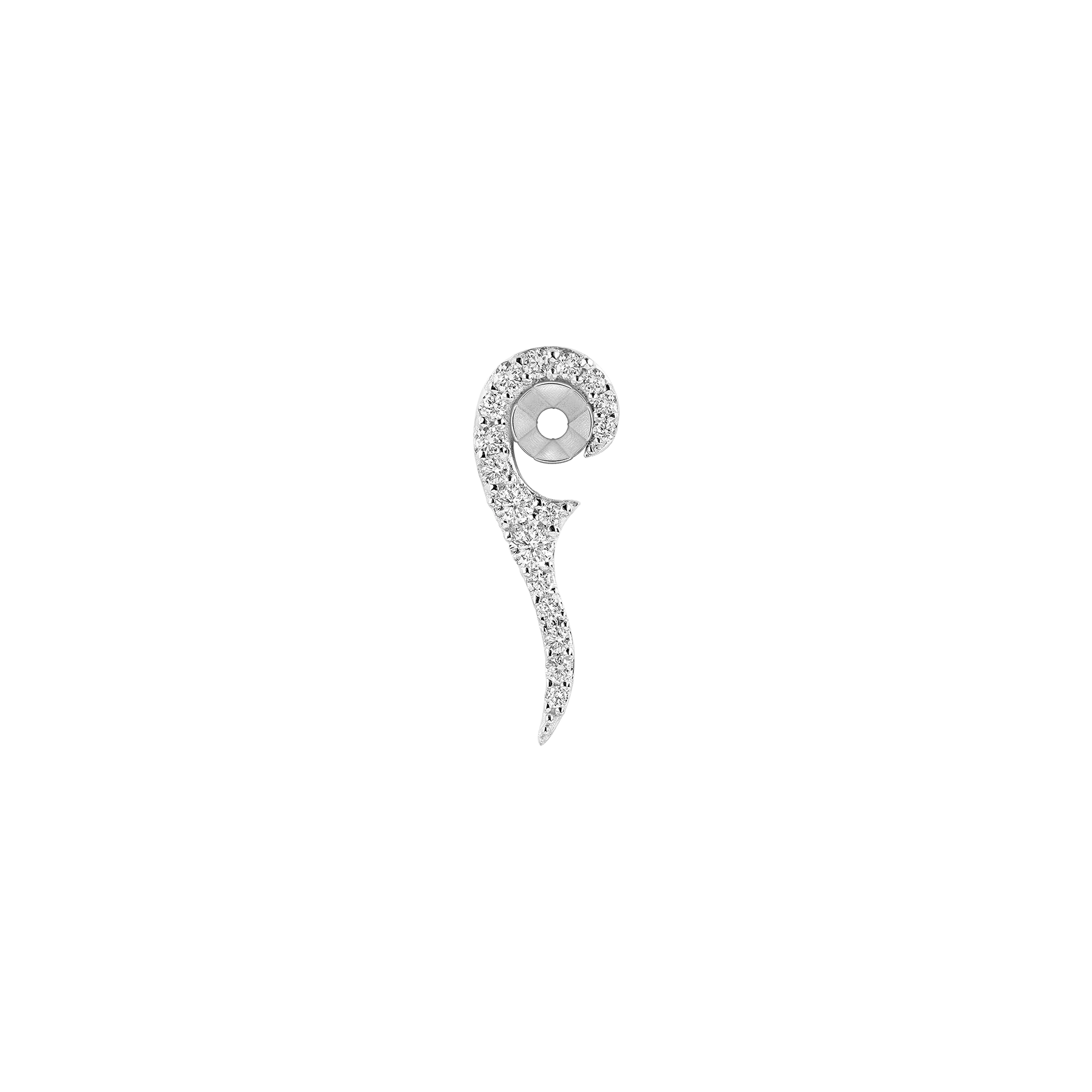 Sauvage - Image 5
