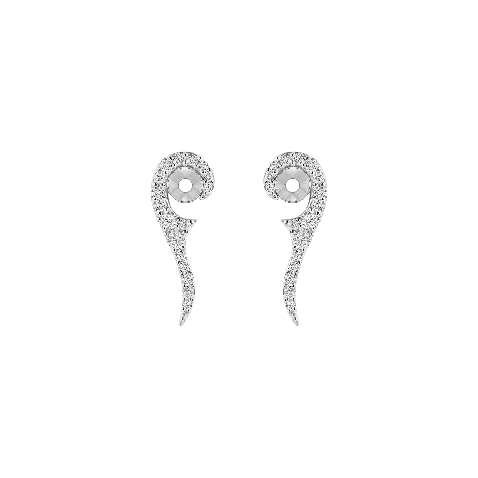 Sauvage - Image 6