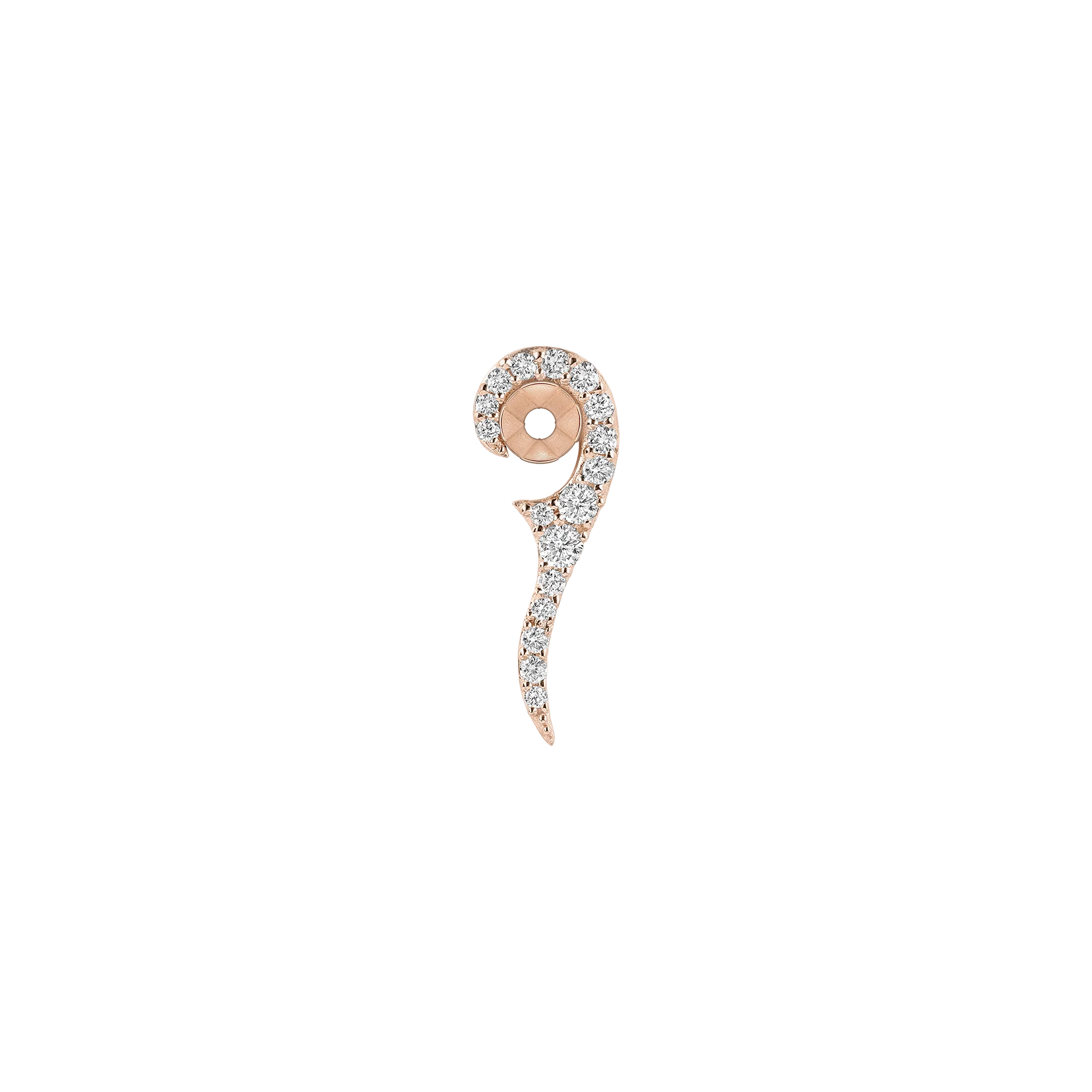 Sauvage - Image 7