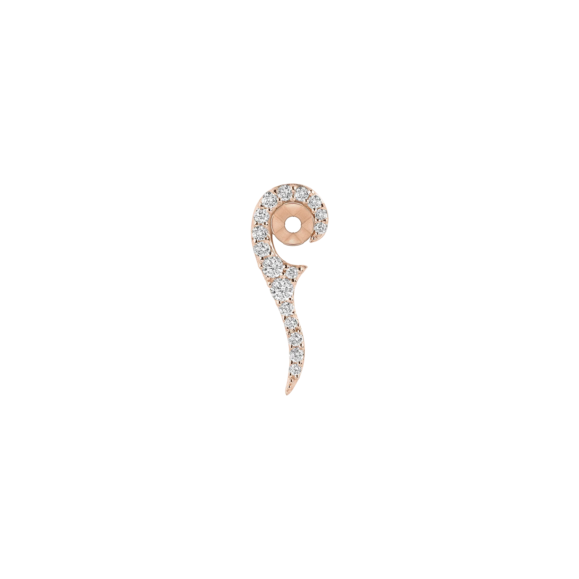 Sauvage - Image 8